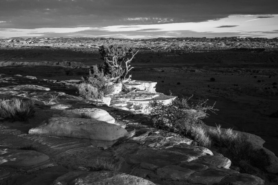 Black and White Photo of Utah Western Landscape