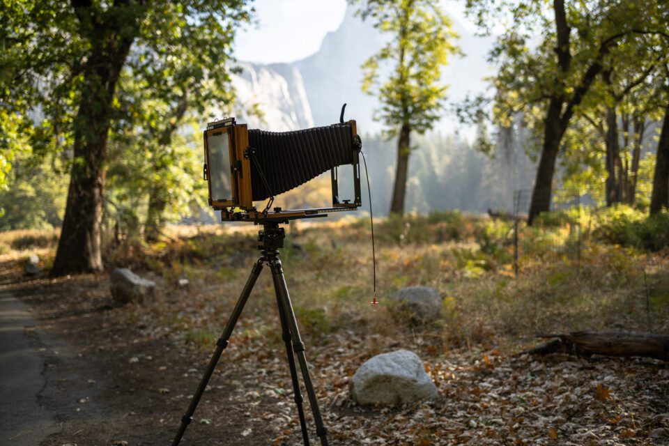 Bokeh Test Yosemite Nikon Z 40mm f2