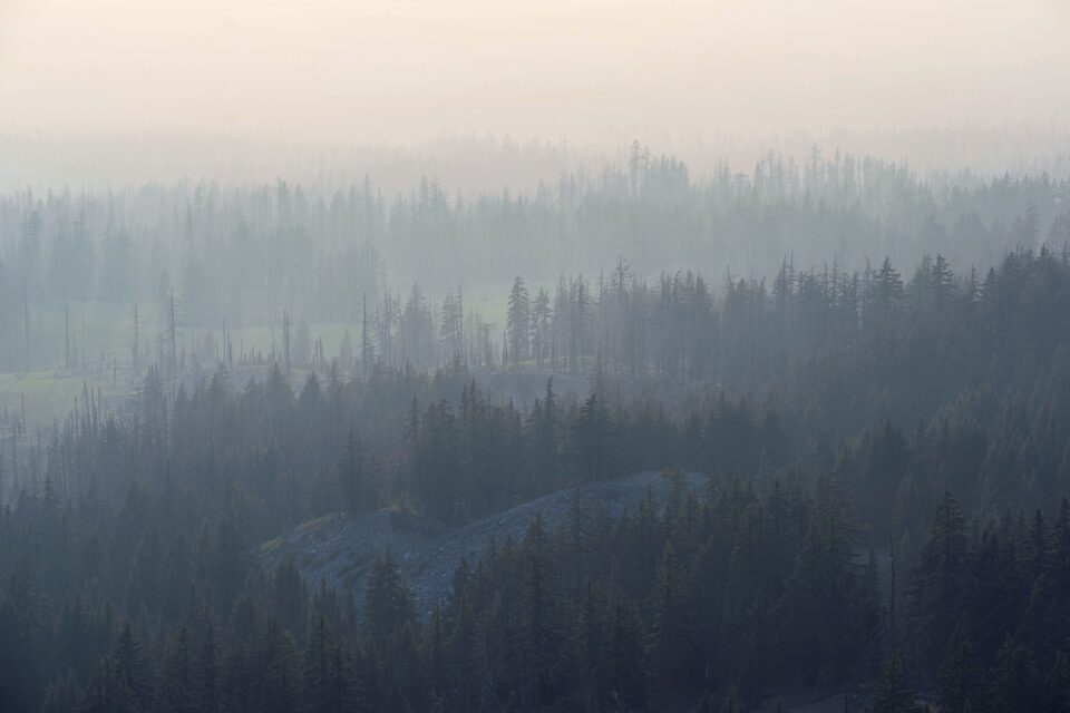 Nikon Z MC 105mm f2.8 VR S Macro Lens Sample Photo Foggy Smoky Mountains Fading into the Distance Landscape