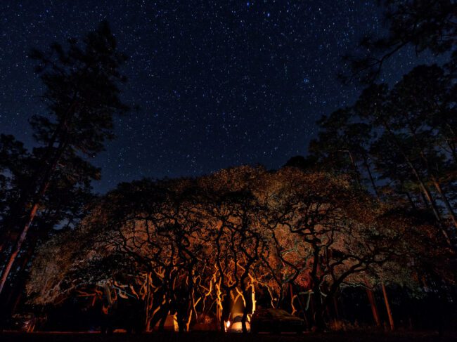 Camping under oak trees in florida Olympus M.zuiko 9-18mm f4-5.6