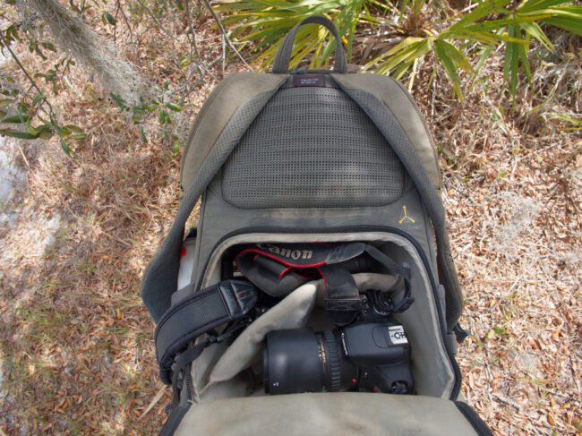 Recommended Camera Bags for Wildlife Photography