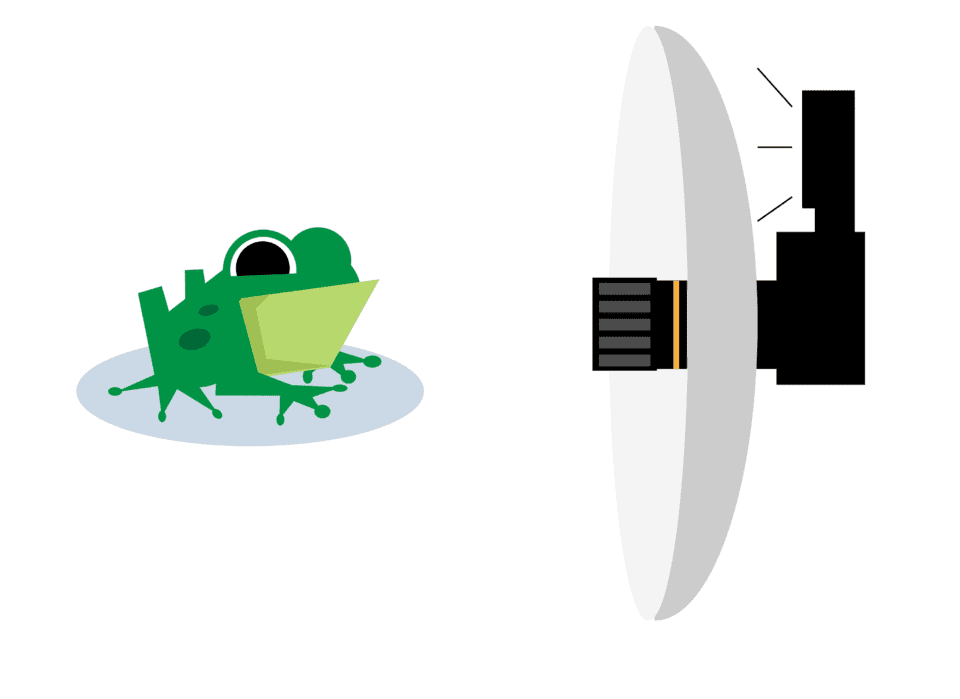 On-camera Diffuser in front of flash, frog illustration