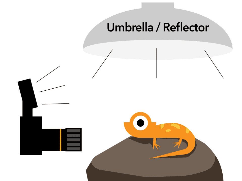 Umbrella:Reflector for bouncing flash