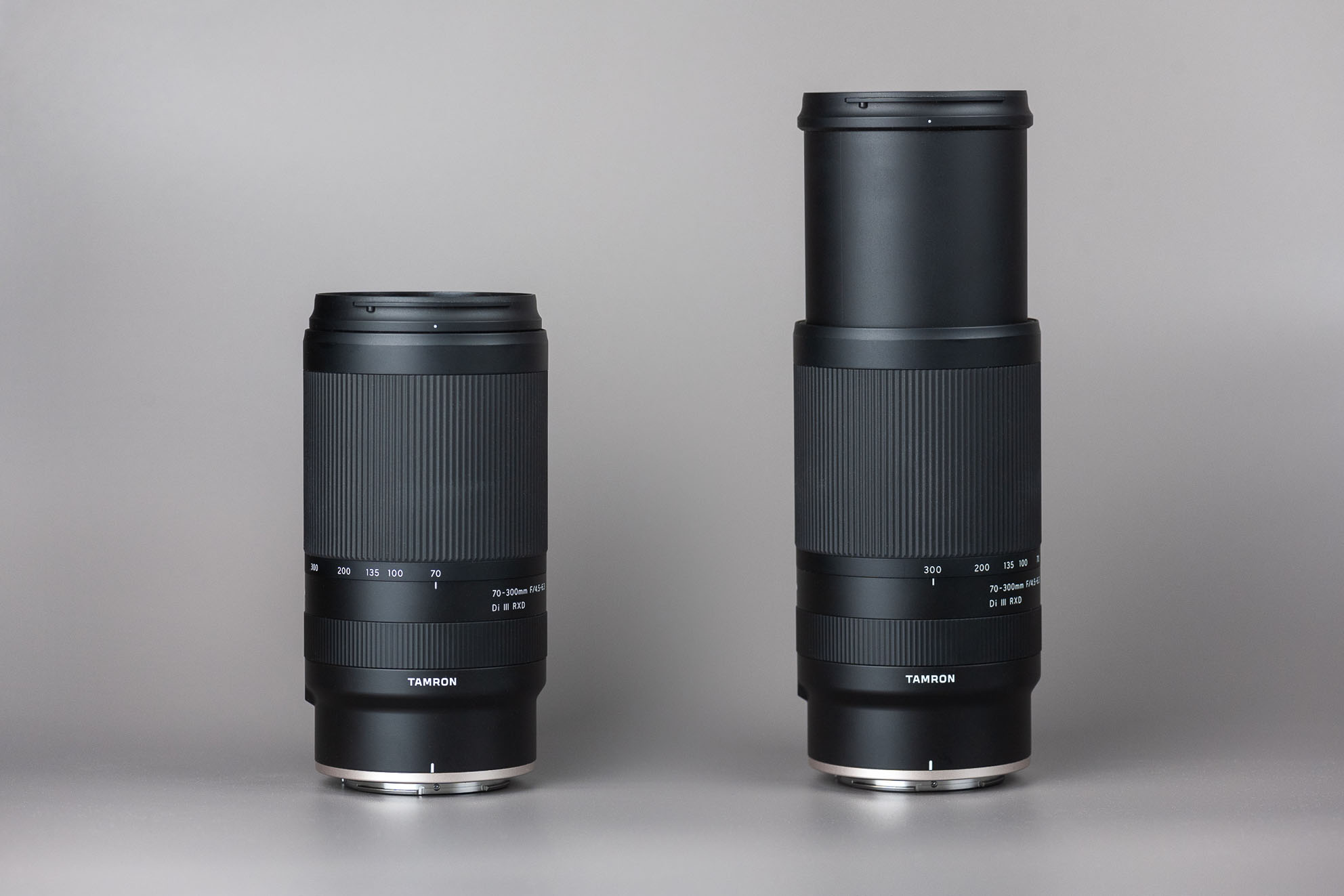 Nikon Z50 + Tamron 70-300mm Z Lens Review