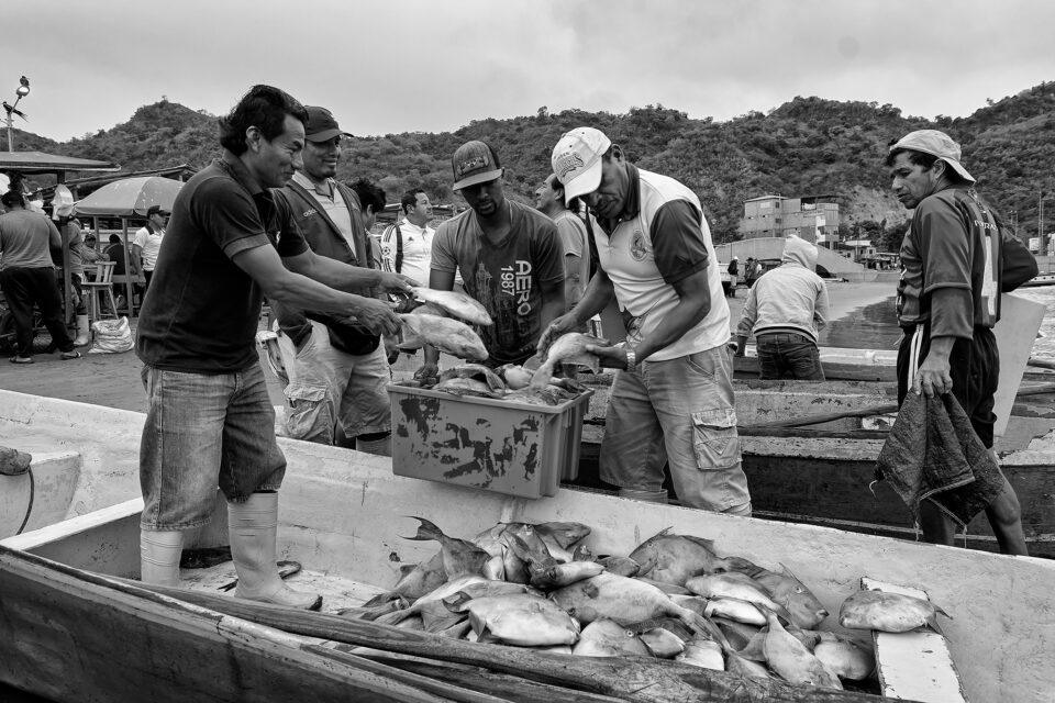 Fishermen_Puerto Lopez_Ecuador_10