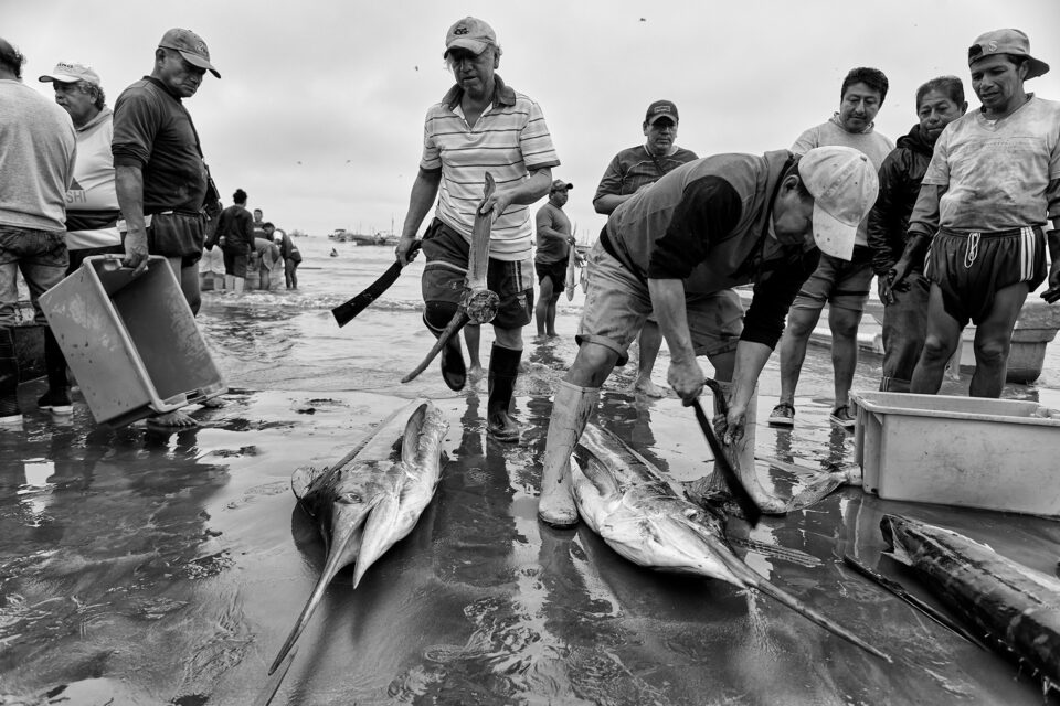 Fishermen_Puerto Lopez_Ecuador_20