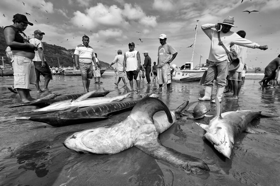 Fishermen_Puerto Lopez_Ecuador_41