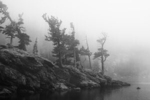 Fog and Island in a Lake