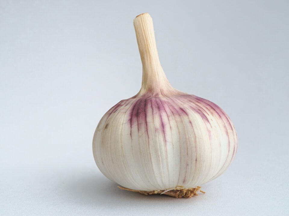 garlic_stacked_final2
