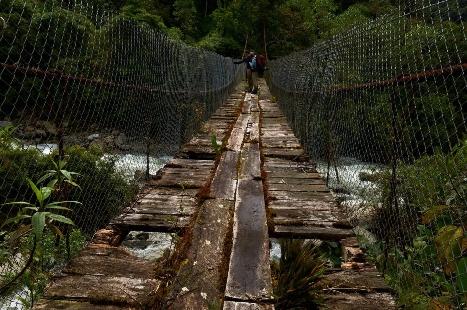 Bridge in the jungle_Ecuador_TGP0547-NEF