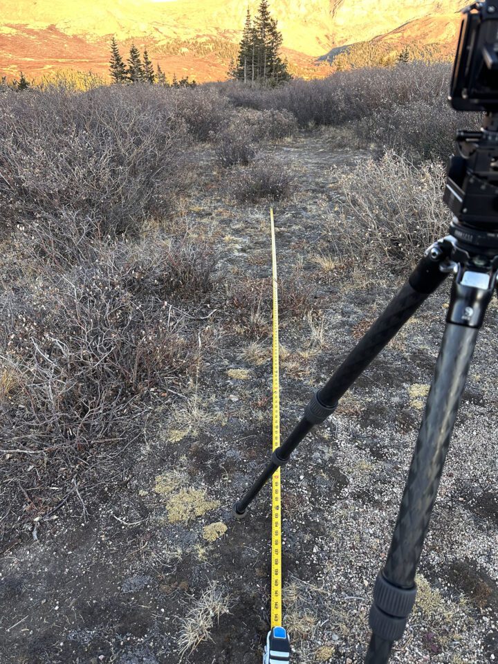 Focus 12 feet from camera measuring tape