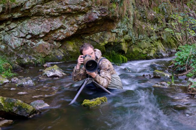 Tripods vs Monopods for Wildlife Photography