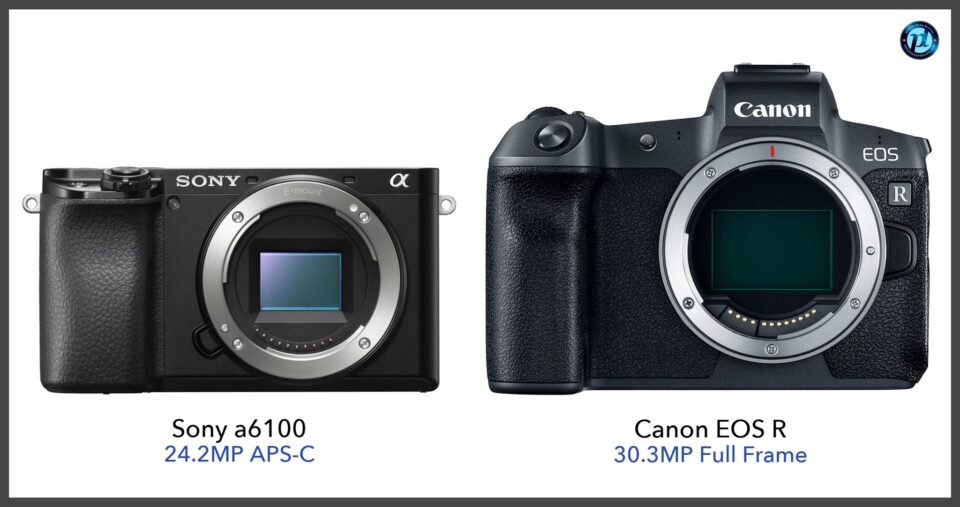 Sony a6100 vs Canon EOS R Specifications Comparison