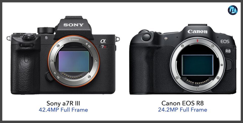 sony a7r iii vs canon eos r8