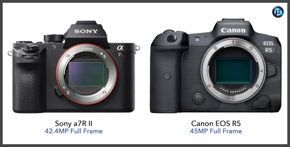 canon eos r5 ii vs sony a7rv