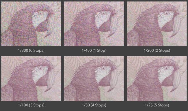 Noise Reduction Algorithms vs Capturing More Light