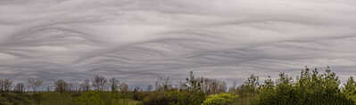 Cloud Panorama