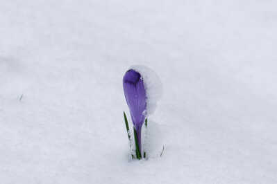 04 not everything is white