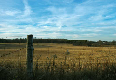 DSC 3167 field of clouds