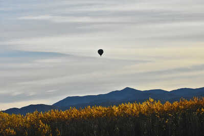 DSC 6833 hot air balloon near Valencia