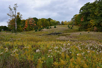 DSC 5047 hike past meadow