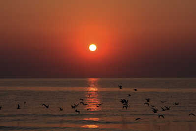 2009 07 31 Thassos 0406 RB 2