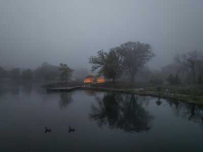 Fog