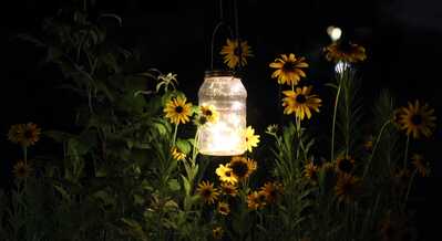 NightFlowers2 C
